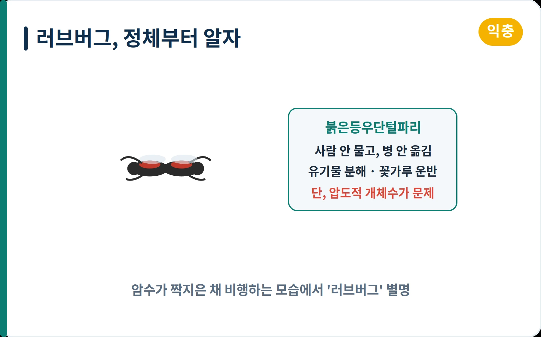 러브버그 붉은등우단털파리 정체와 익충 여부