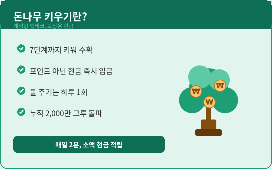 케이뱅크 돈나무 키우기 개념과 구조