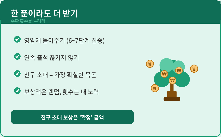 케이뱅크 돈나무 더 받는 법 영양제 친구초대