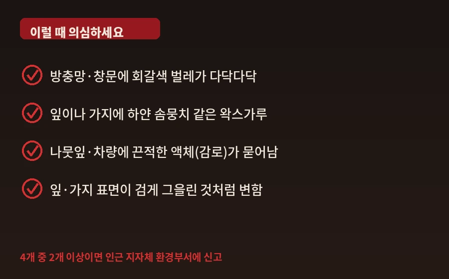 미국선녀벌레 발견 체크리스트